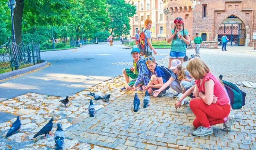 Kraków 18 przygód nad jeziorem - wakacje dla dzieci i młodzieży