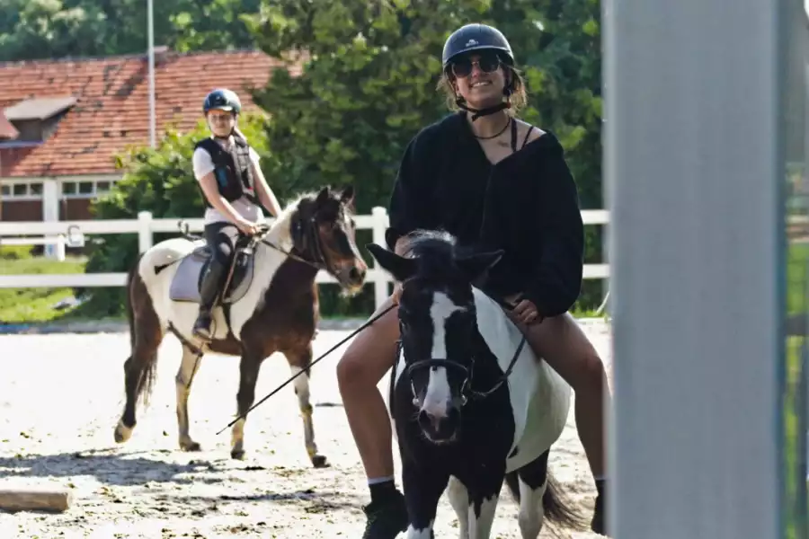 Zbrosławice Kurs jeździectwa dla dzieci i młodzieży