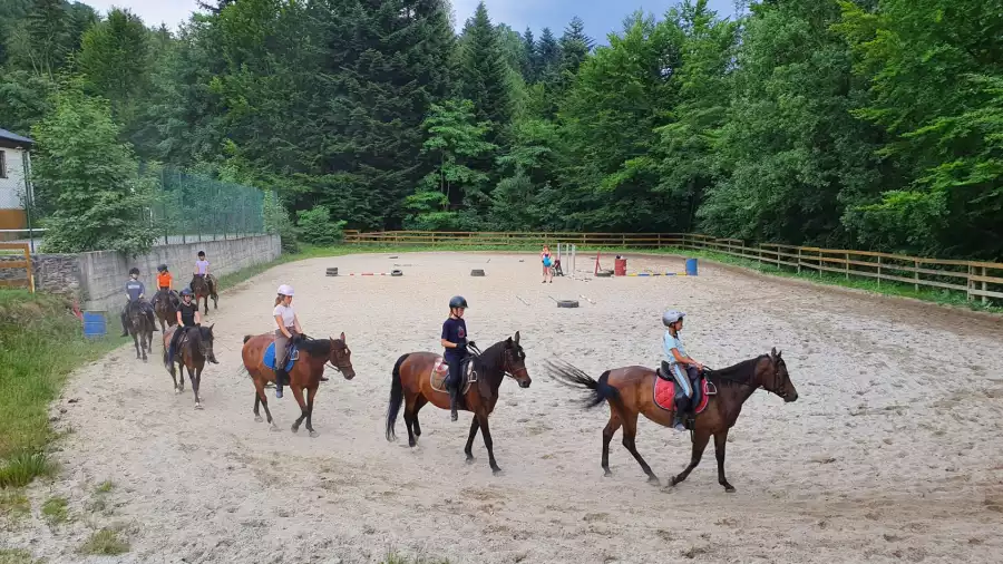 Brenna Obóz jazdy konnej w Beskidach