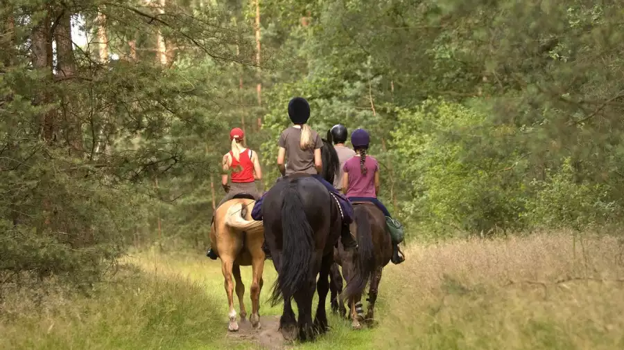 Brenna Rajd konny w Beskidach - wakacje letnie dla młodzieży