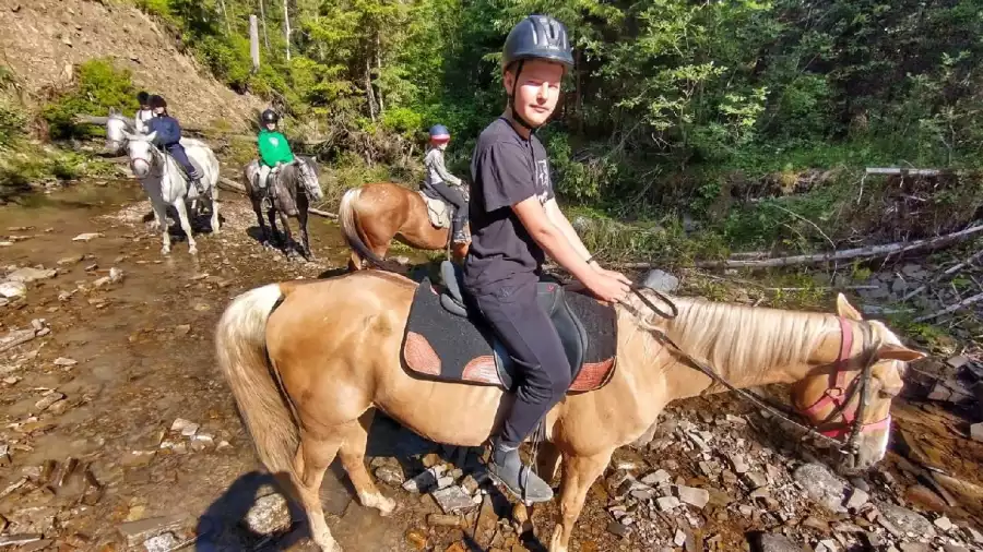 Bukowina Tatrzańska Jeździeckie wakacje dla dzieci i młodzieży w Tatrach