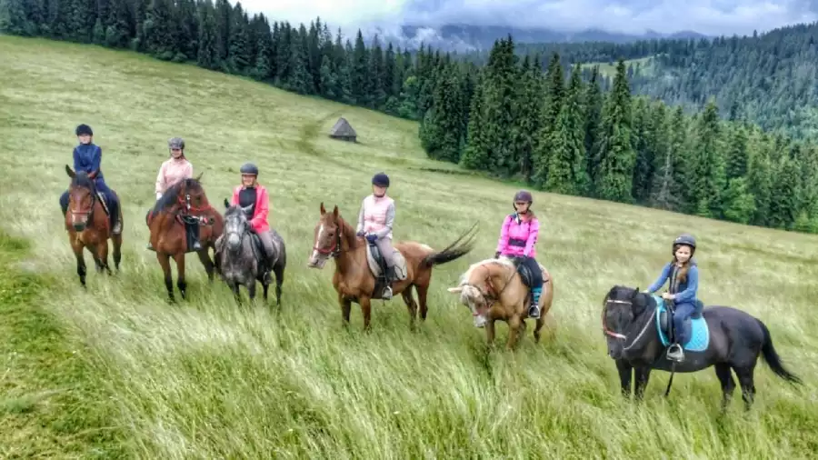 Bukowina Tatrzańska Jeździeckie wakacje dla dzieci i młodzieży w Tatrach