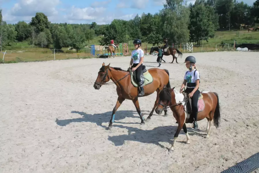 Niestępowo Jeździeckie wakacje dla dzieci i młodzieży