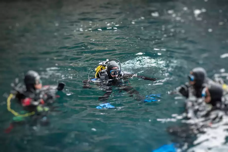Olsztynek Kolonia letnia Pierwsze kroki z nurkowaniem Seal Team –Padi